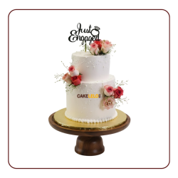 Just Engaged Cake