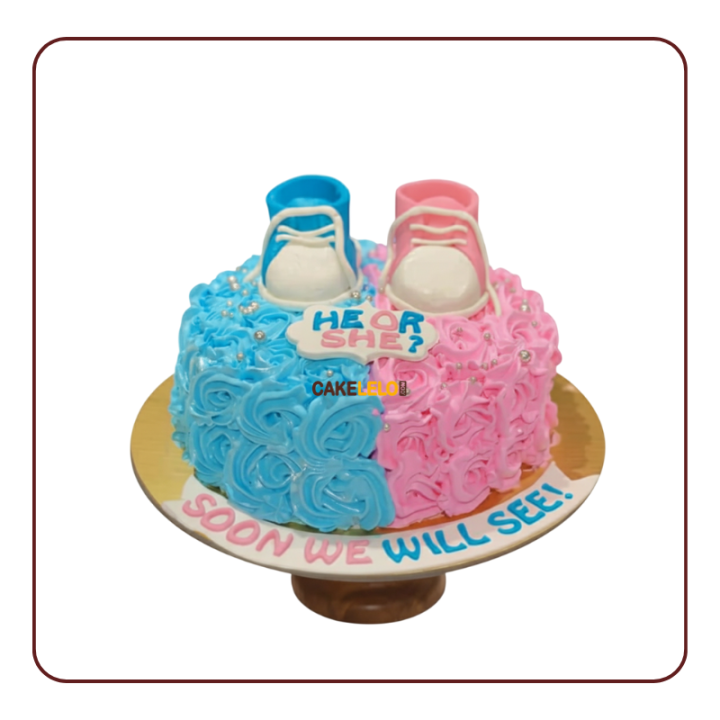 split pink and blue rosette frosting, topped with plaque. Custom baby shower cake available in Kudasan, Gandhinagar.