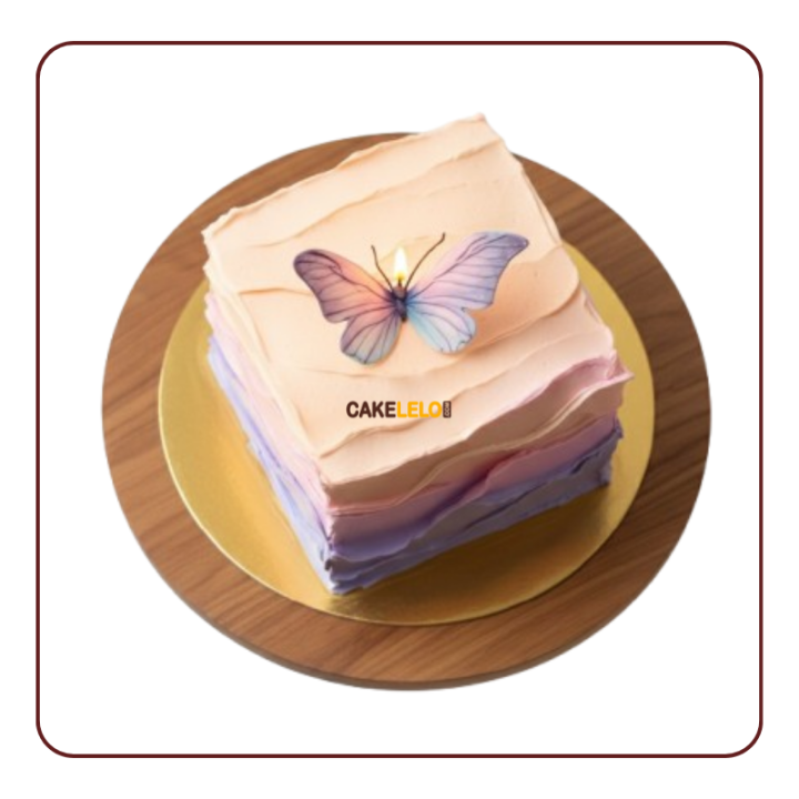 Colorful Butterfly Bento Cake | Magical Cakes Kudasan Gandhinagar